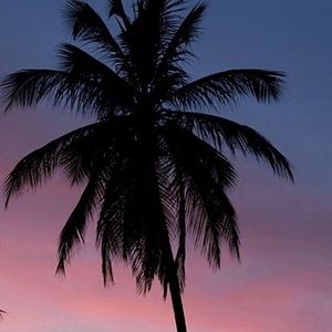 Meet your Posher, Noelle